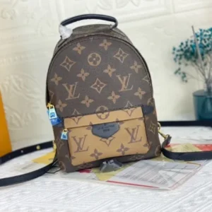 Louis Vuitton Palm Springs Mini Backpack