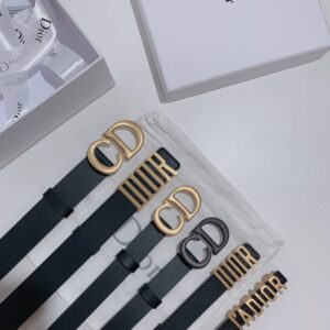 DIOR Belts with All Style Buckles