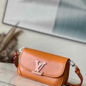 LV Buci Bag in Dark Brown
