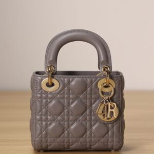 Mini Lady Dior Bag