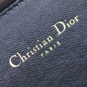 Dior CD Signature Elliptical Camera Bag - Image 2