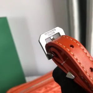 Goyard Cap-Vert PM Bag - Image 8